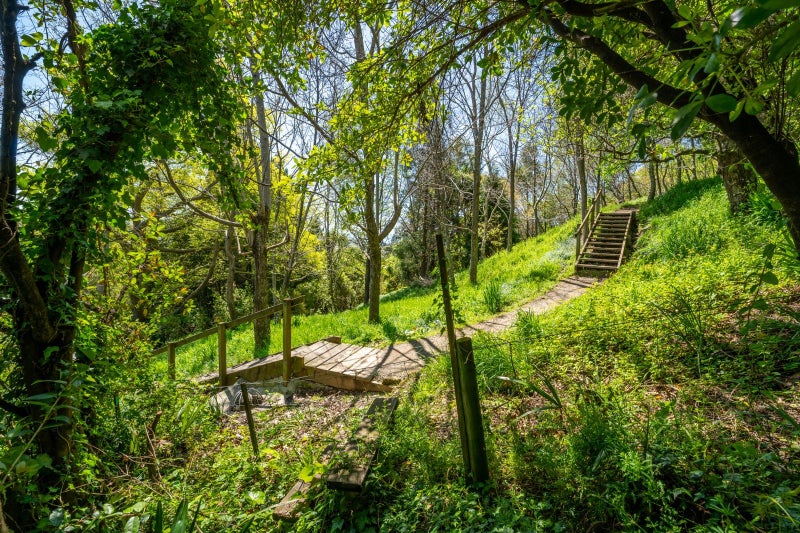 26 Allan Street, Nelson South, Nelson - Carousel 20