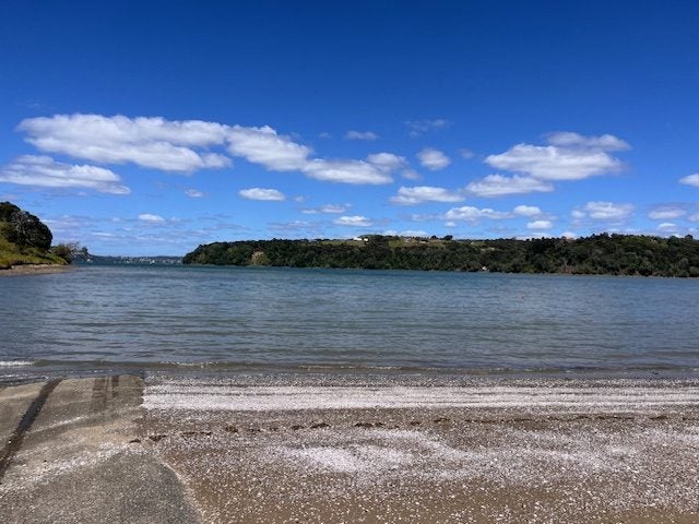 57 Clinton Road, Tāwharanui Peninsula, Tawharanui Peninsula - Carousel 24