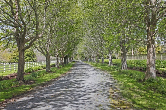 293 Point Wells Road, Warkworth - Carousel 23