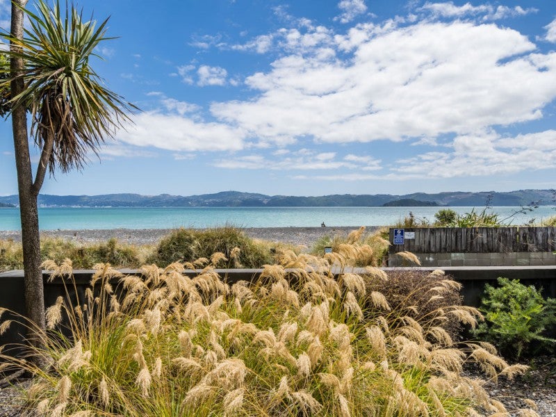 145 Marine Parade, Eastbourne, Lower Hutt - Carousel 24