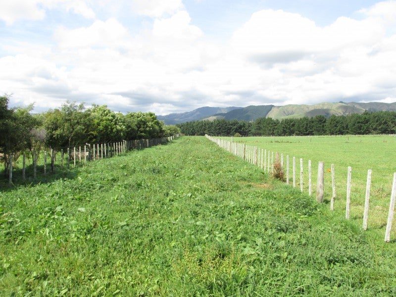 35 Laward Road, Palmerston North - Carousel 8