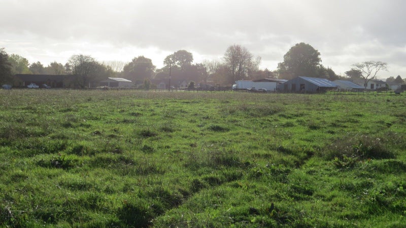 197 Walsh Road, Whatawhata, Hamilton - Carousel 25