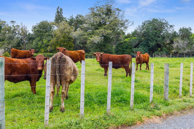 962 No 2 Road, Te Ranga - Carousel 19
