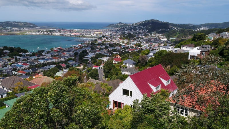 8 Hepara Street, Hataitai, Wellington - Carousel 10