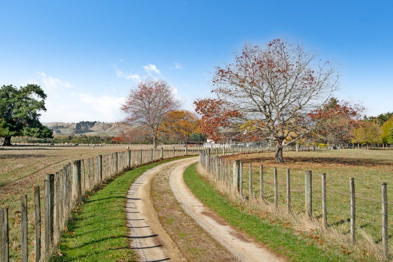 237 Te Whiti Road, Homebush, Masterton - Carousel 38