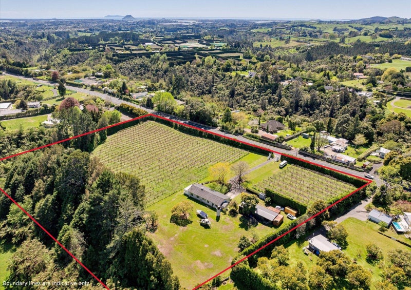 668 Pyes Pa Road, Pyes Pa, Tauranga - Carousel 20