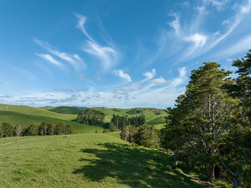 69 Fraser Road, Kawakawa, Kawakawa - Carousel 2