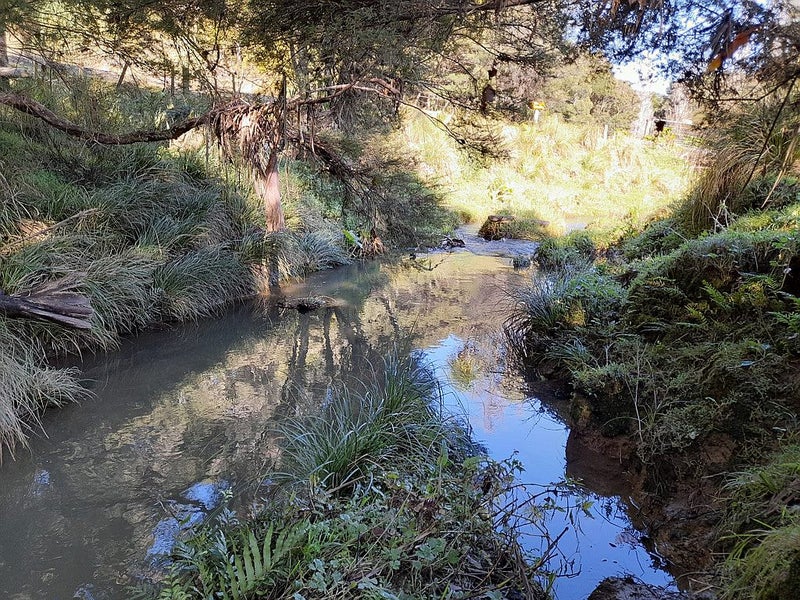 424 Paranui-Toatoa Road, Kaitaia - Carousel 2