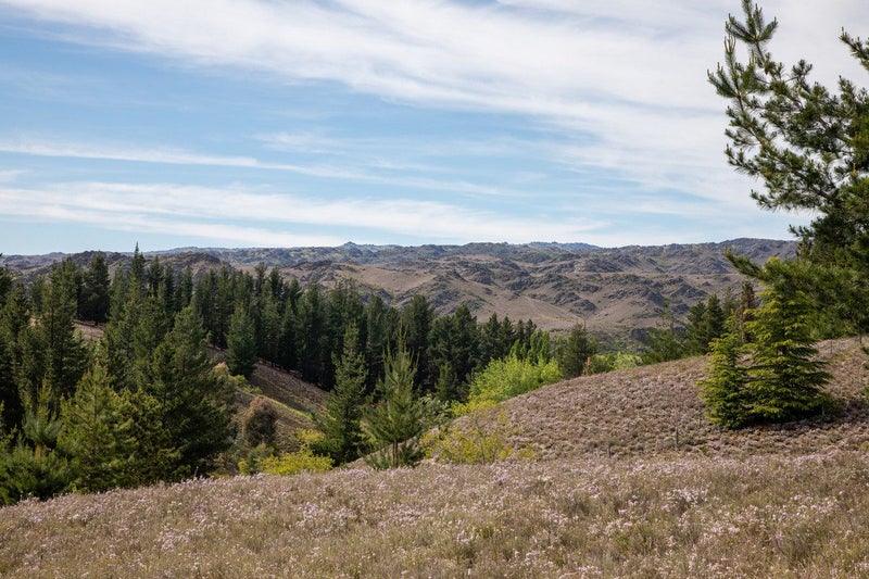 92A Gilligans Gully Road, Alexandra, Alexandra - Carousel 18