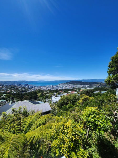 28 Apuka Street, Brooklyn, Wellington - Carousel 1