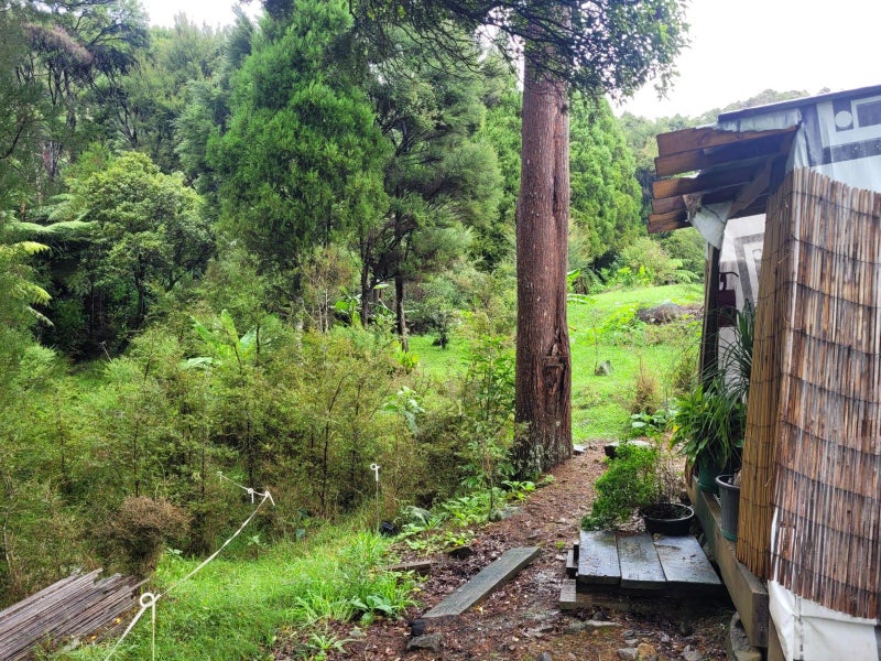 611 Matawherohia Road, Kaeo - Carousel 16