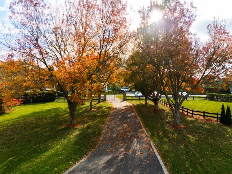 337B Newell Road, Tamahere, Hamilton - Carousel 2