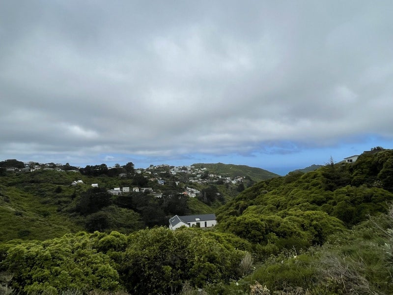 291 Mitchell Street, Brooklyn, Wellington - Carousel 10