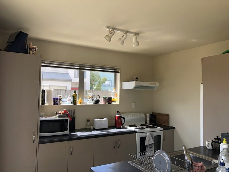 8A Rex Street, Riccarton, Christchurch - Carousel 2