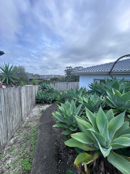 42 Ballymore Drive, Pinehill, Auckland - Carousel 2