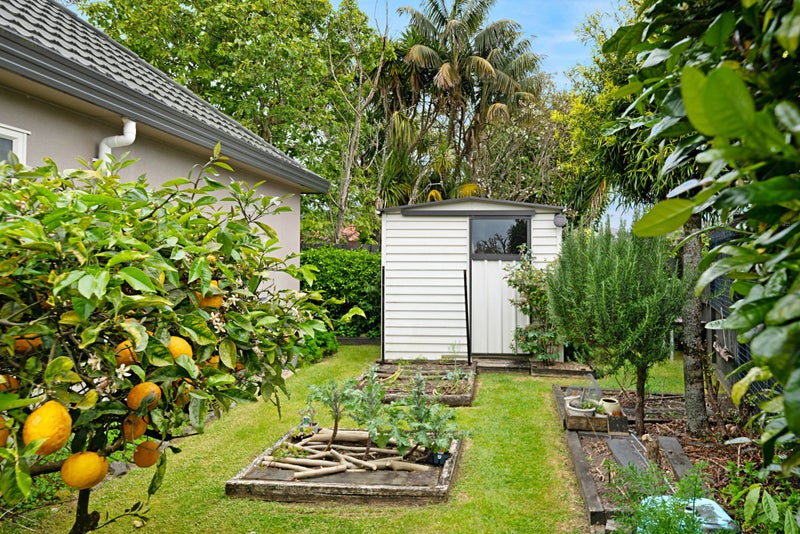 12E Mead Street, Avondale, Auckland - Carousel 22