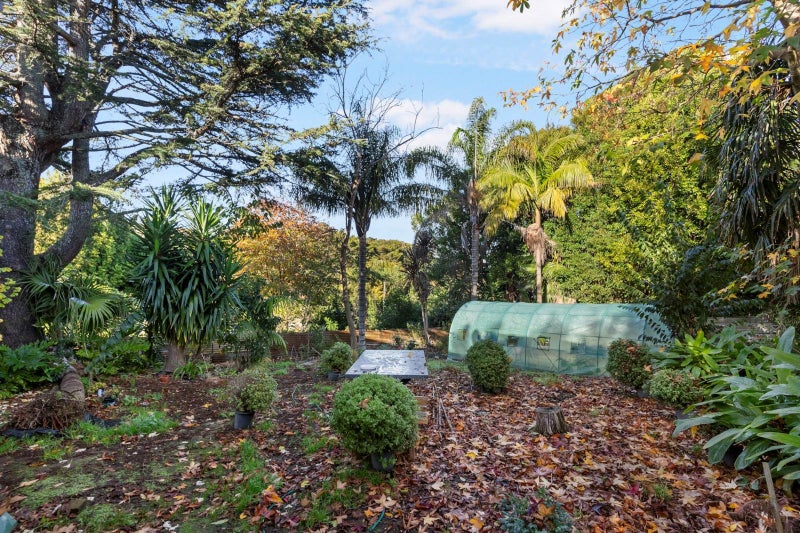 1 Claude Road, Hillpark, Auckland - Carousel 26