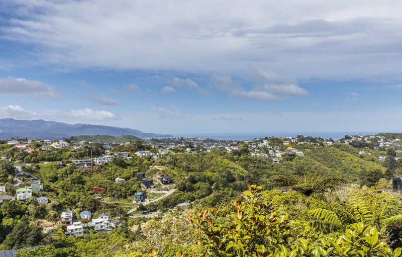 16 Virginia Grove, Brooklyn, Wellington - Carousel 2