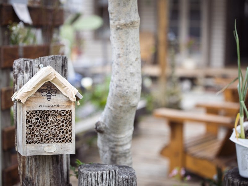 46 Carnell Street, Napier South, Napier - Carousel 18