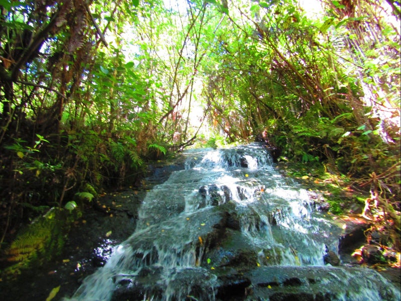 0 Kihi Road, Hauturu, Oparau - Carousel 1