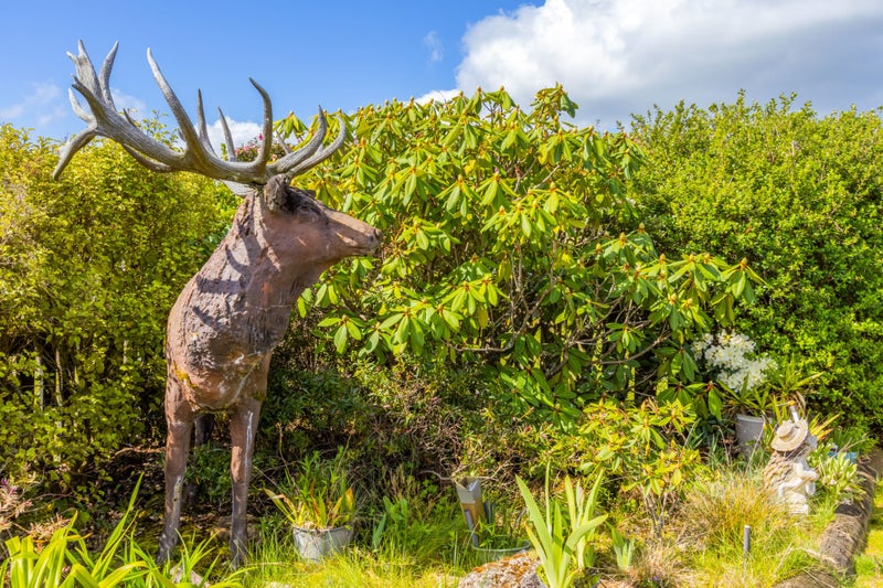 3 Antonia Place, Taupo - Carousel 31