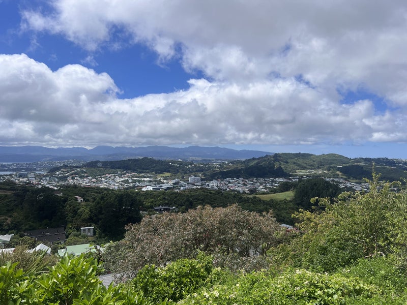 27B Mana Street, Vogeltown, Wellington - Carousel 26