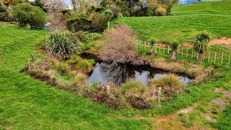 32 Hurworth Road, HURWORTH, NEW PLYMOUTH - Carousel 20