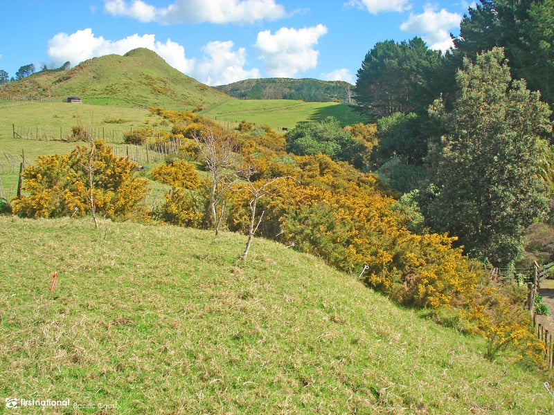 62 Fergus Road, Waihi - Carousel 15