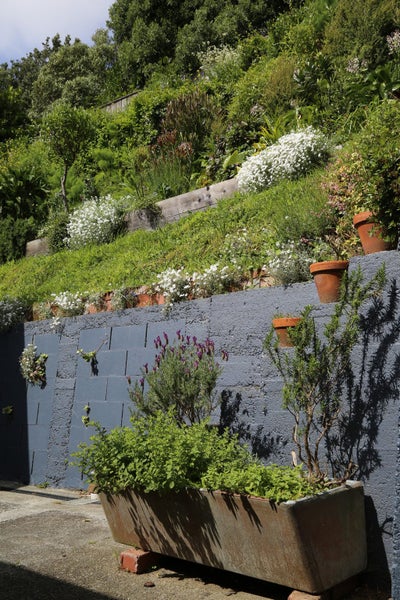 47 Melbourne Road, Island Bay, Wellington - Carousel 27