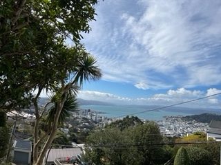 45 Apuka Street, Brooklyn, Wellington - Carousel 2