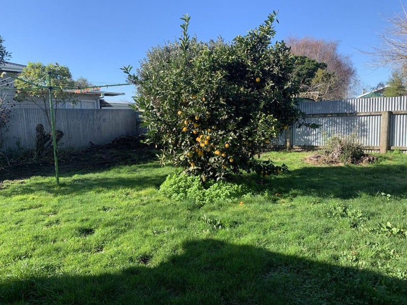 6 Panama Street, Martinborough - Carousel 14