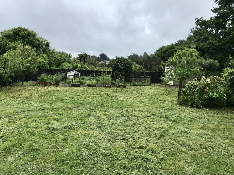 23 Balloch Street, Fairfield, Hamilton - Carousel 2