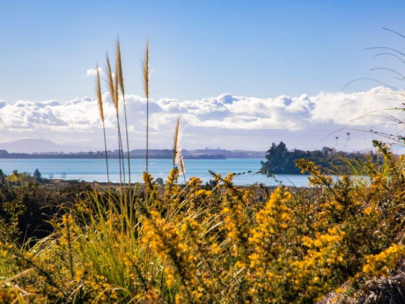 44 Saint Pauls Drive, Brookfield, Tauranga - Carousel 1