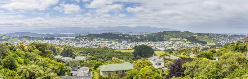 79A Mills Road, Brooklyn, Wellington - Carousel 2