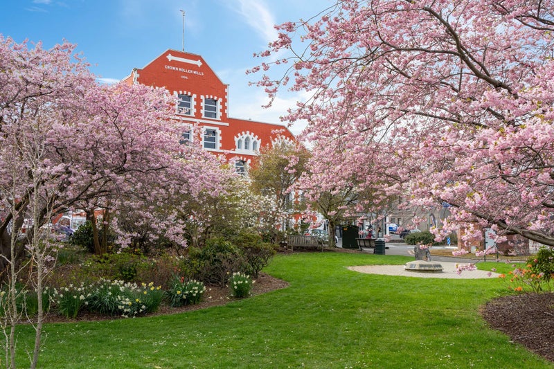 12/2 Manor Place, Dunedin Central, Dunedin - Carousel 27