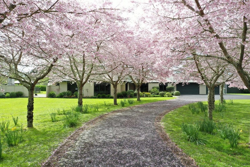 25A Riverglade Drive, Tamahere, Hamilton - Carousel 2