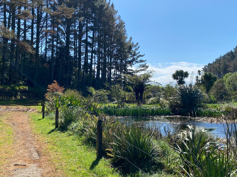 325 Kaipi Road, Hillsborough, New Plymouth - Carousel 2