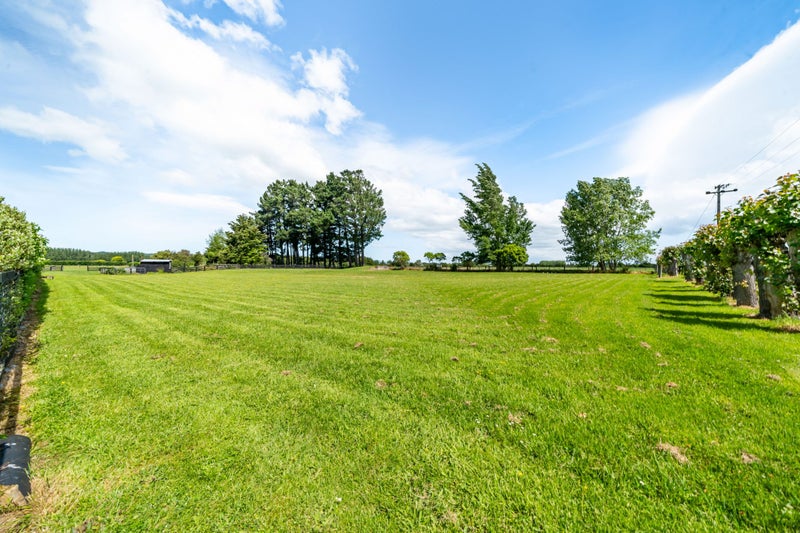 41 Andrew Street, Kuripuni, Masterton - Carousel 40