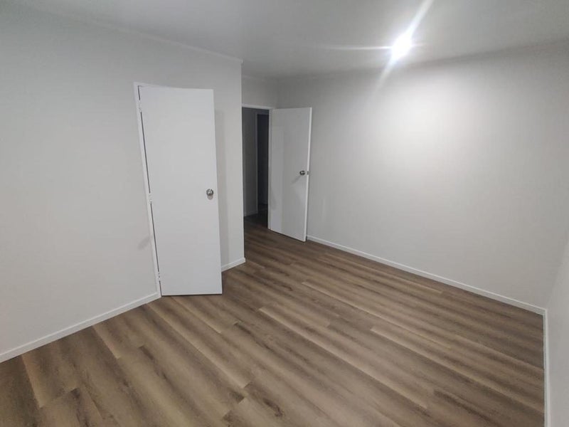 43A Hall Avenue, Otahuhu, Auckland - Carousel 2