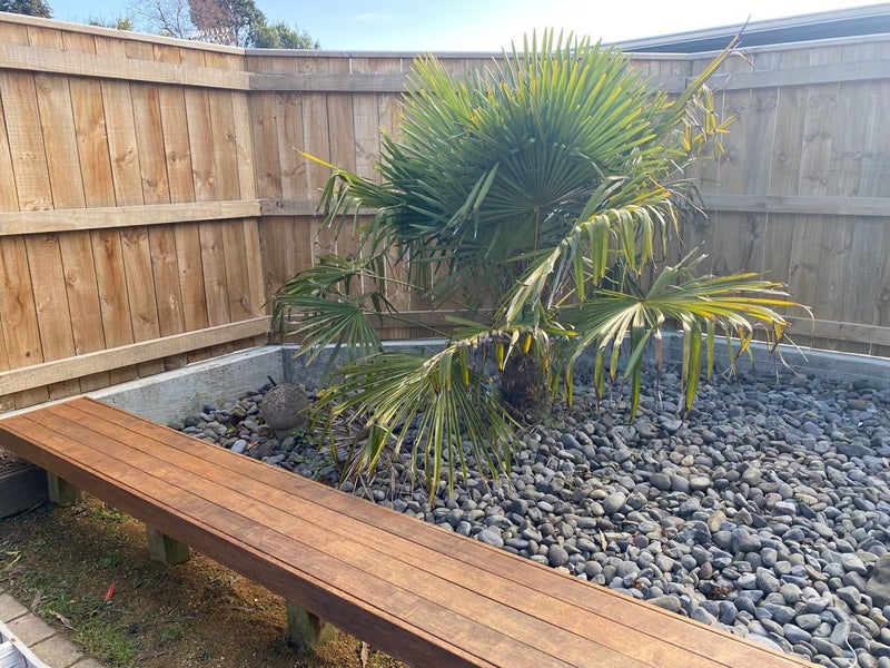 6 Surrey Crescent, Hokowhitu, Palmerston North - Carousel 24