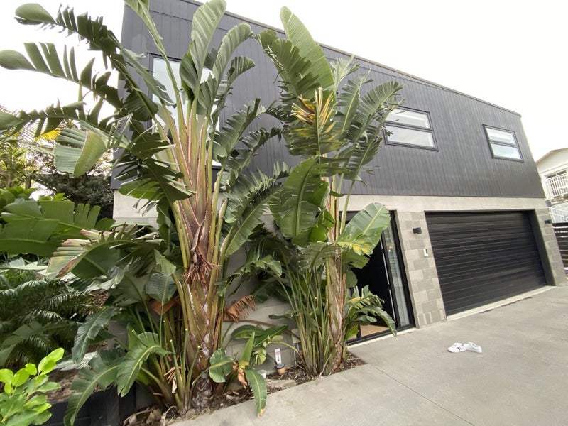 37B Maranui Street, Mount Maunganui, Mount Maunganui - Carousel 2