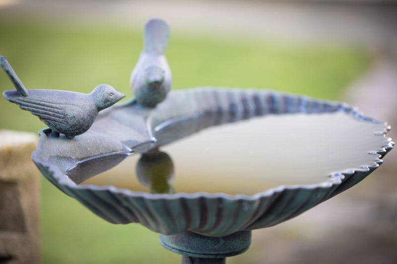 23 Morgan Avenue, Marewa, Napier - Carousel 15