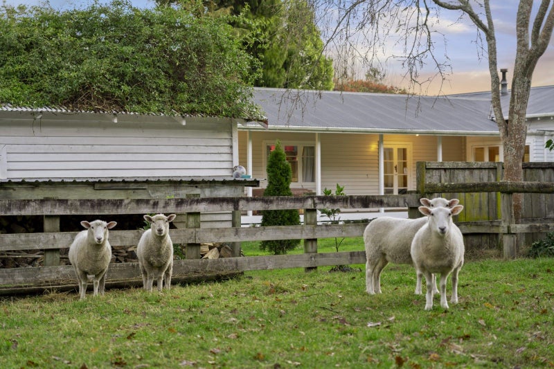 676 State Highway 26, Newstead - Carousel 22