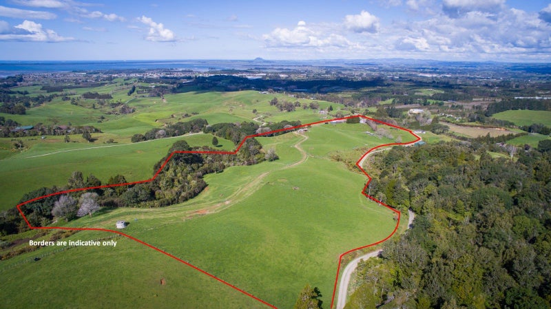 294B BUSBY ROAD, Katikati, Western Bay Of Plenty - Carousel 1