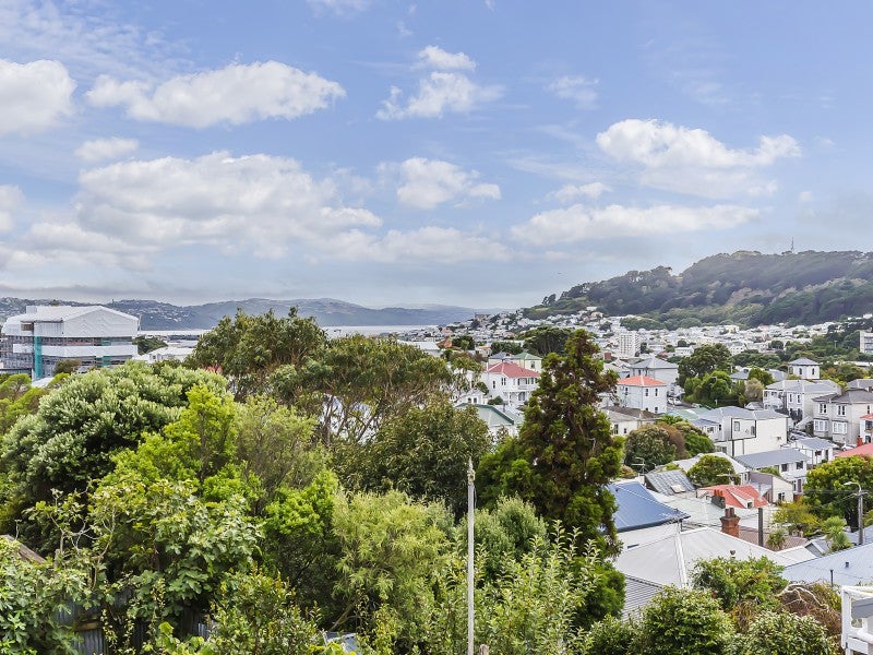 67 Wright Street, Mount Cook, Wellington - Carousel 2