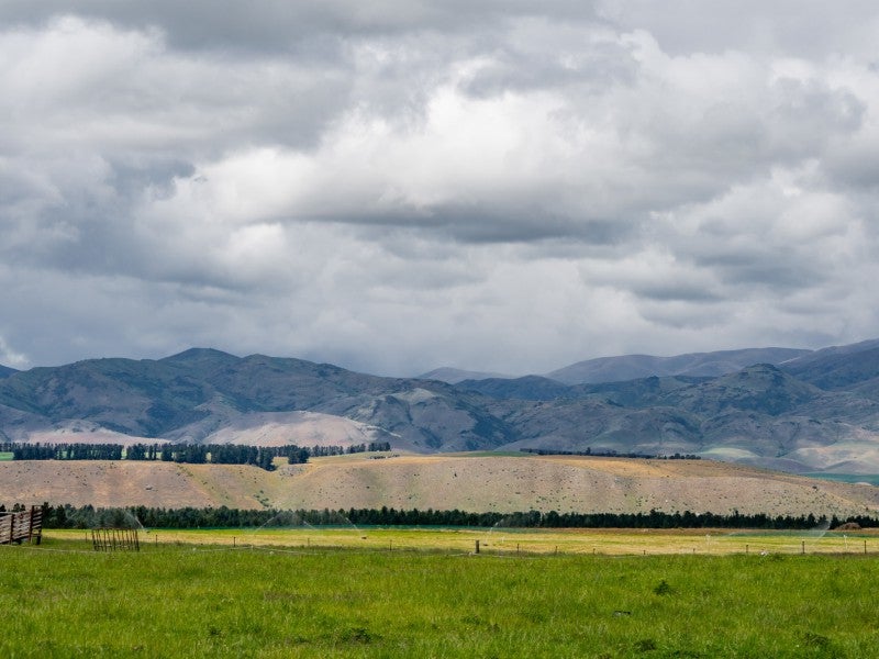 42C Gladsmuir Road, Cromwell - Carousel 7