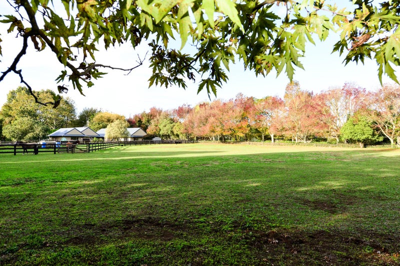 85A Windmill Road, Hamilton - Carousel 2