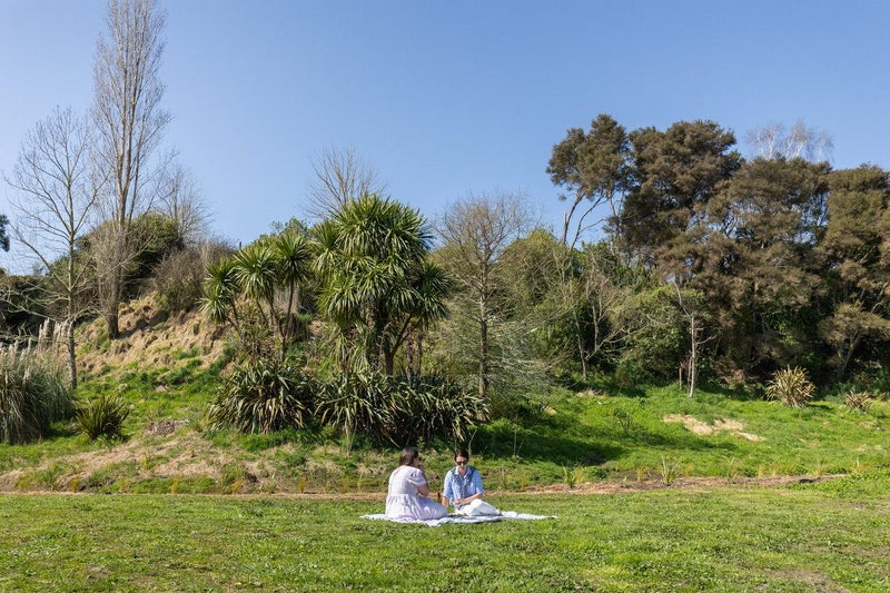 45A Te Awa Lane, Tamahere, Hamilton - Carousel 1