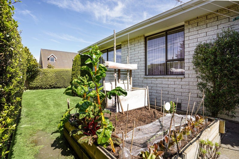 2/6 Steadman Road, Broomfield, Christchurch - Carousel 11