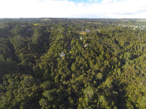 125 The Avenue, Lucas Heights, Auckland - Carousel 8